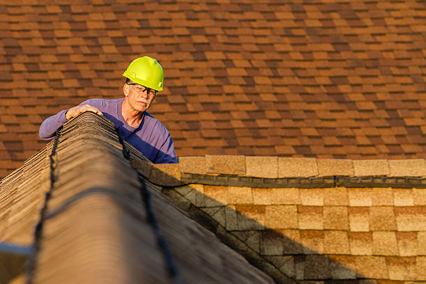 Best Storm Damage Roof Repair  in Colmar Manor, MD