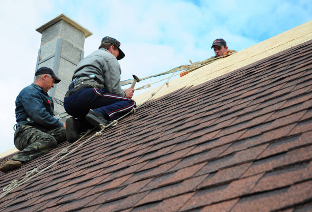 Best Best Roofing Contractors  in Colmar Manor, MD